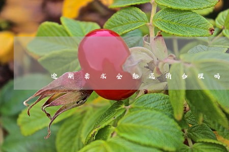 逾期要求全部还清合理吗 逾期要求全部还清合理吗