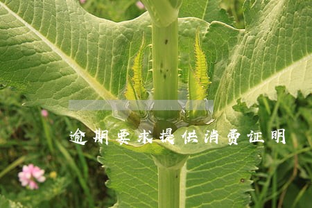 逾期要求提供消费证明 逾期要求提供消费证明