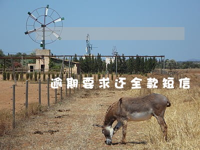 逾期要求还全款短信 逾期要求还全款短信