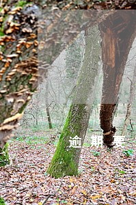 逾期要求还全款还不上能协商吗 逾期要求还全款还不上能协商吗