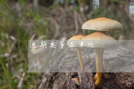 逾期要等五年吗 逾期要等五年吗
