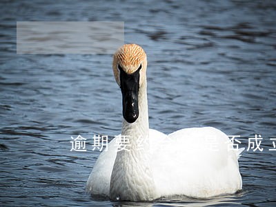 逾期要约合同是否成立 逾期要约合同是否成立