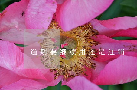 逾期要继续用还是注销 逾期要继续用还是注销