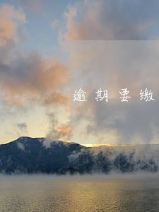 逾期要缴纳什么钱 逾期要缴纳什么钱