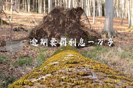 逾期要罚利息一万多 逾期要罚利息一万多