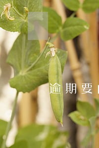 逾期要自己上传结清证明吗 逾期要自己上传结清证明吗