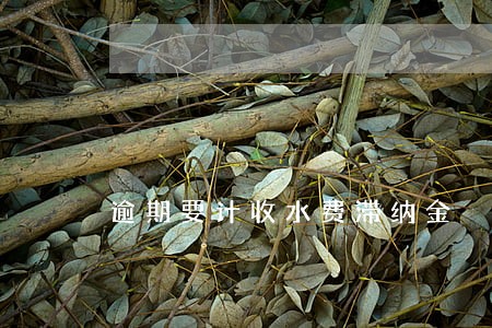 逾期要计收水费滞纳金 逾期要计收水费滞纳金