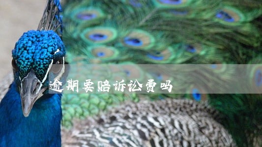 逾期要赔诉讼费吗 逾期要赔诉讼费吗