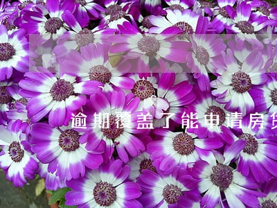 逾期覆盖了能申请房贷吗 逾期覆盖了能申请房贷吗