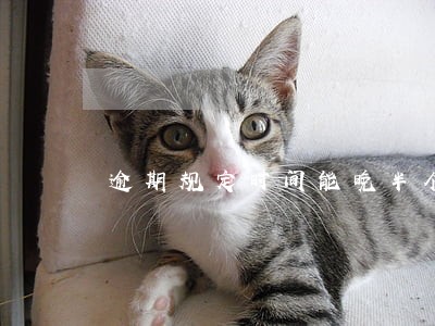 逾期规定时间能晚半个小时吗 逾期规定时间能晚半个小时吗
