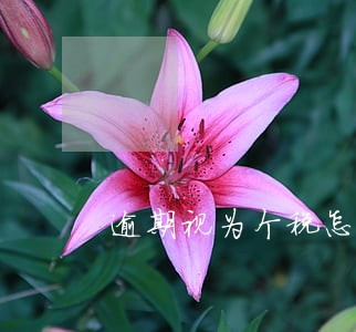 逾期视为个税怎么办理 逾期视为个税怎么办理