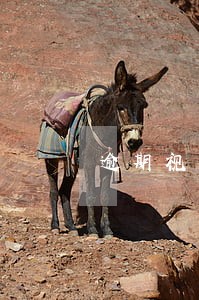 逾期视为未开展工作 逾期视为未开展工作