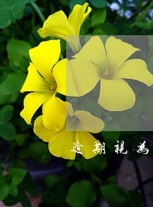 逾期视为自动放弃收益 逾期视为自动放弃收益