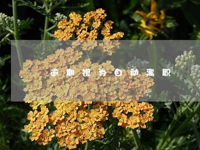 逾期视为自动离职 逾期视为自动离职
