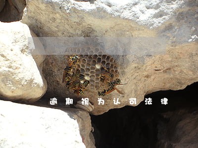 逾期视为认可法律 逾期视为认可法律