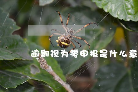 逾期视为零申报是什么意思