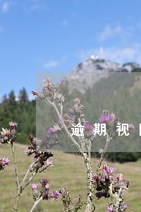 逾期视同自愿销户什么意思 逾期视同自愿销户什么意思