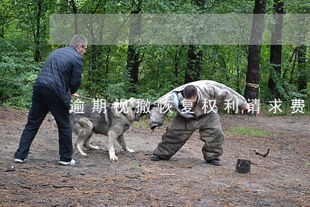逾期视撤恢复权利请求费 逾期视撤恢复权利请求费