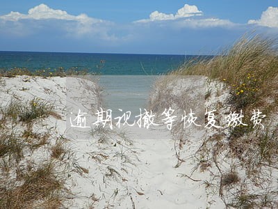 逾期视撤等恢复缴费 逾期视撤等恢复缴费