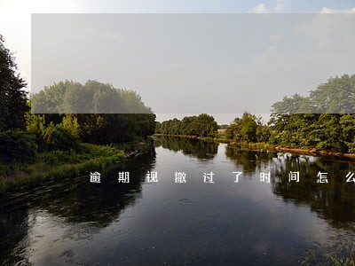 逾期视撤过了时间怎么办 逾期视撤过了时间怎么办