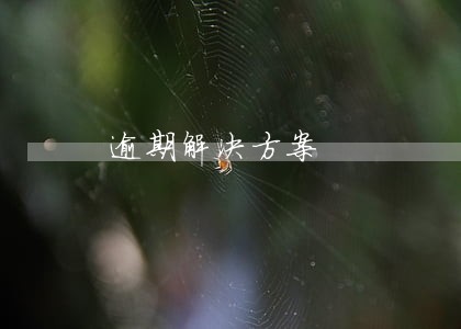逾期解决方案