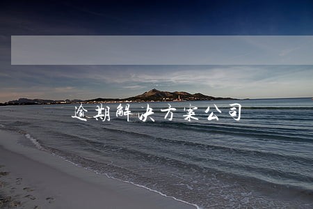 逾期解决方案公司 逾期解决方案公司