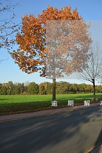 逾期解冻中行信用卡 逾期解冻中行信用卡