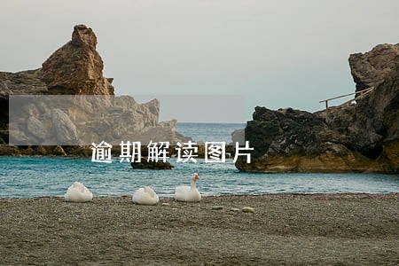 逾期解读图片 逾期解读图片