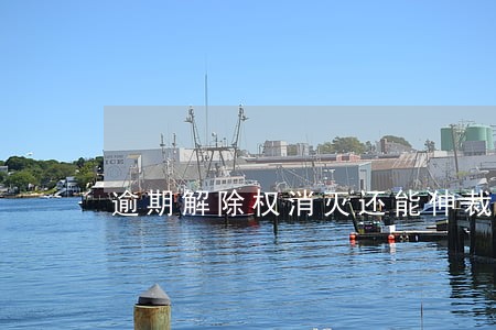 逾期解除权消灭还能仲裁吗 逾期解除权消灭还能仲裁吗