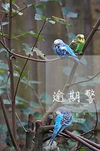 逾期警告信息 逾期警告信息