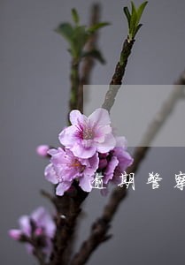 逾期警察会上门吗