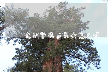 逾期警报后果会怎么呢