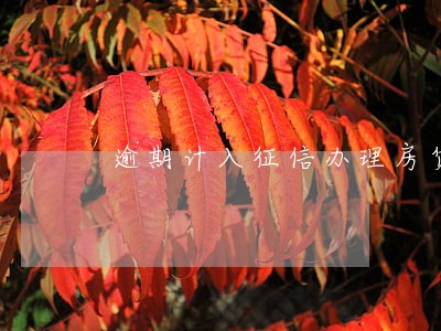 逾期计入征信办理房贷 逾期计入征信办理房贷