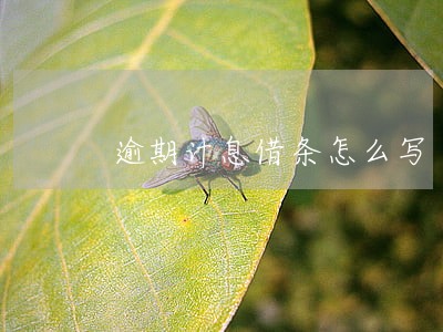 逾期计息借条怎么写 逾期计息借条怎么写