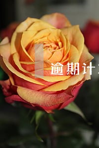 逾期计算利息法律依据 逾期计算利息法律依据