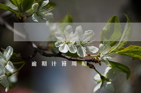 逾期计算周期 逾期计算周期