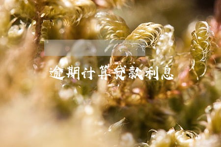 逾期计算贷款利息 逾期计算贷款利息