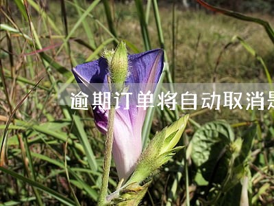 逾期订单将自动取消是什么意思 逾期订单将自动取消是什么意思