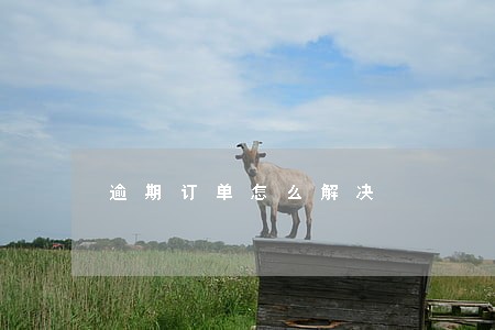 逾期订单怎么解决