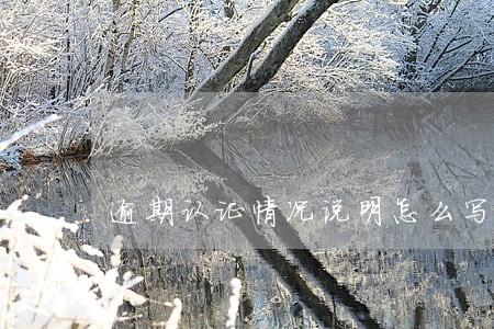 逾期认证情况说明怎么写 逾期认证情况说明怎么写