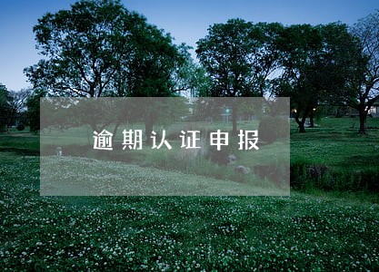 逾期认证申报