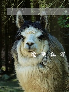 逾期让写还款承诺书 逾期让写还款承诺书