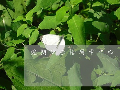 逾期让去信用卡中心 逾期让去信用卡中心