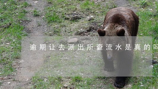 逾期让去派出所查流水是真的吗 逾期让去派出所查流水是真的吗