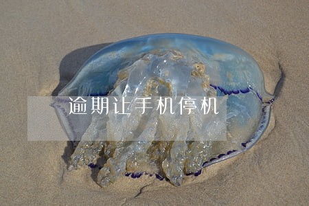 逾期让手机停机 逾期让手机停机