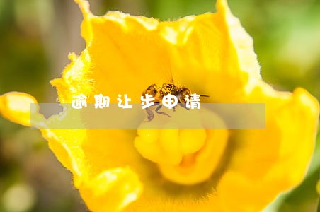 逾期让步申请 逾期让步申请