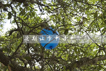 逾期让步申请单 逾期让步申请单