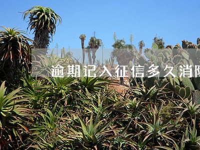 逾期记入征信多久消除 逾期记入征信多久消除