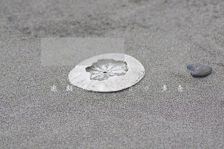 逾期记录100多条 逾期记录100多条