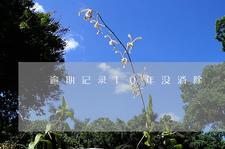 逾期记录10年没消除 逾期记录10年没消除